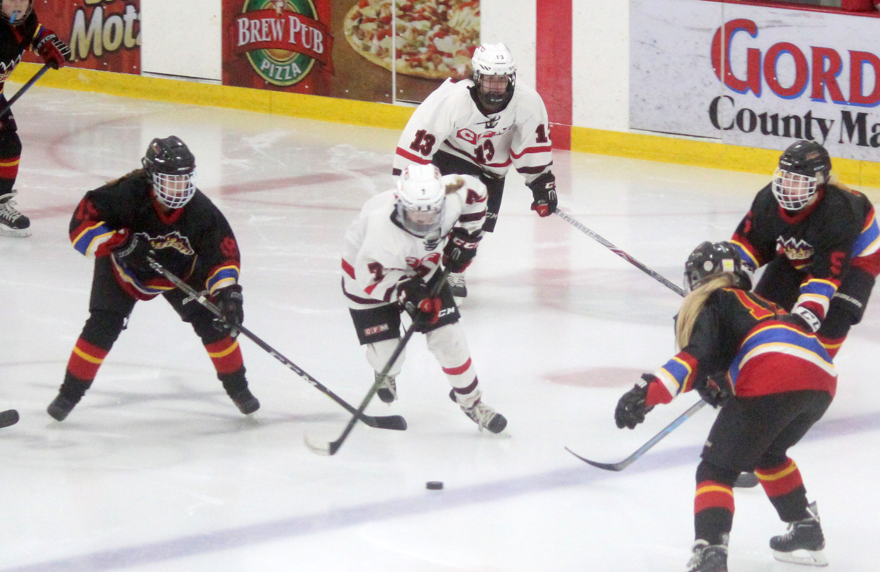 St. Croix Valley at Chi-Hi/Menomonie girls hockey 1-24-19